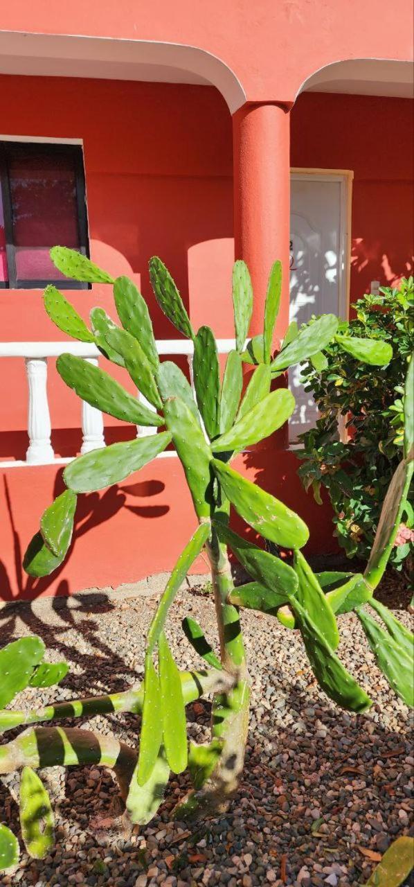 Villa Kiki Ensenada Punta Rucia Kültér fotó