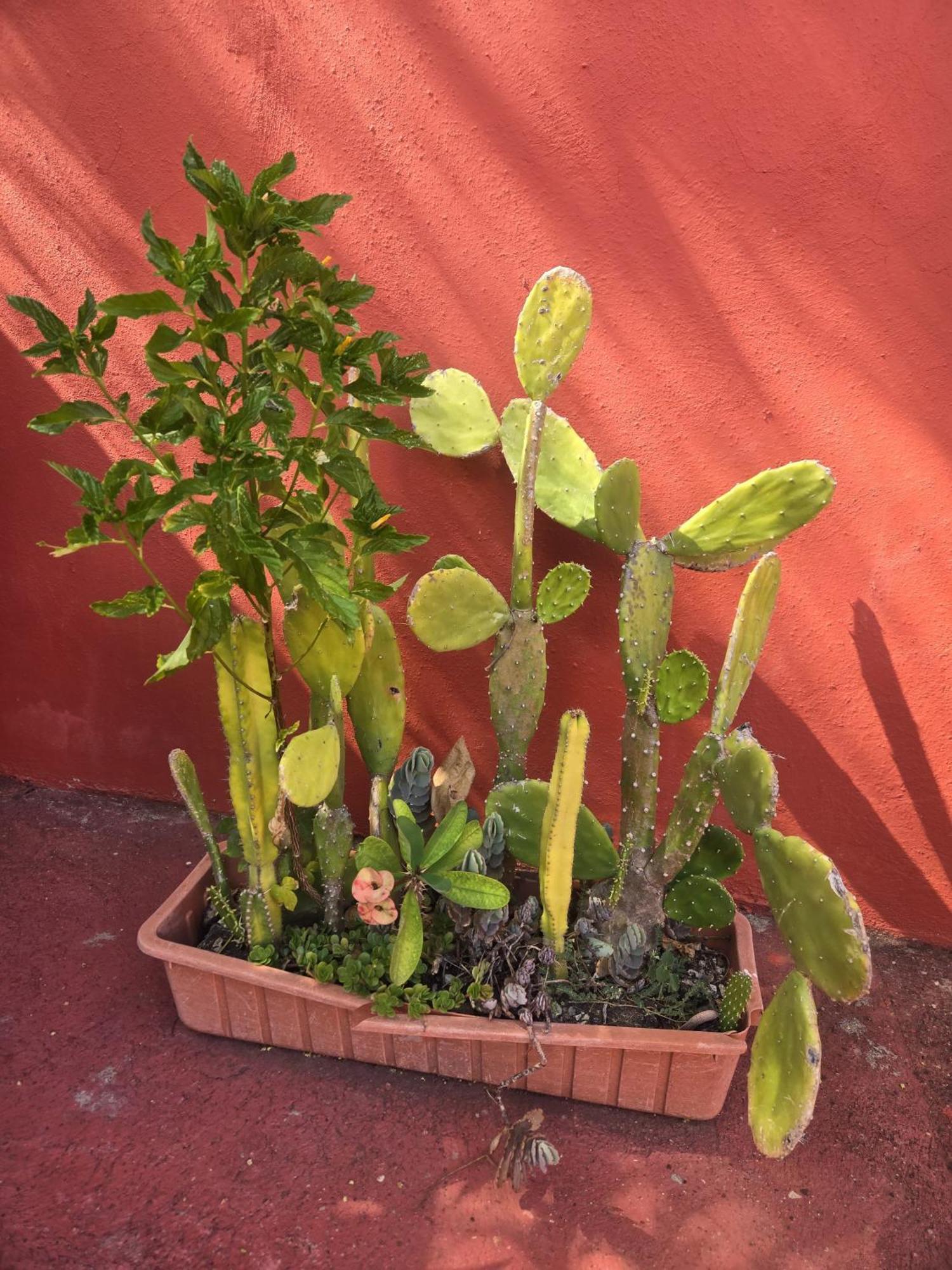 Villa Kiki Ensenada Punta Rucia Kültér fotó